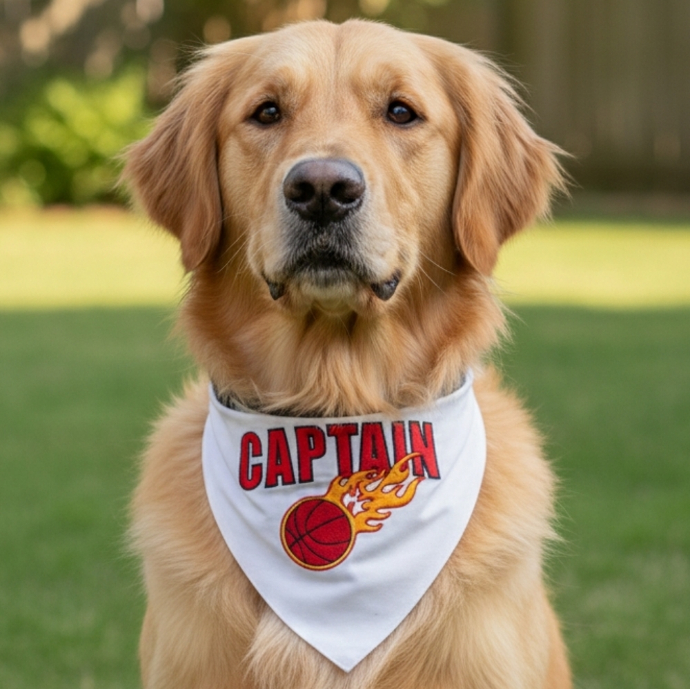 New DOG Collar Bandana Basketball Captain Sports Themed Reflective